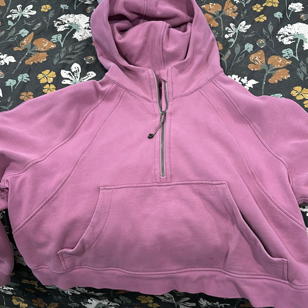 Scooba Hoodie Crop
